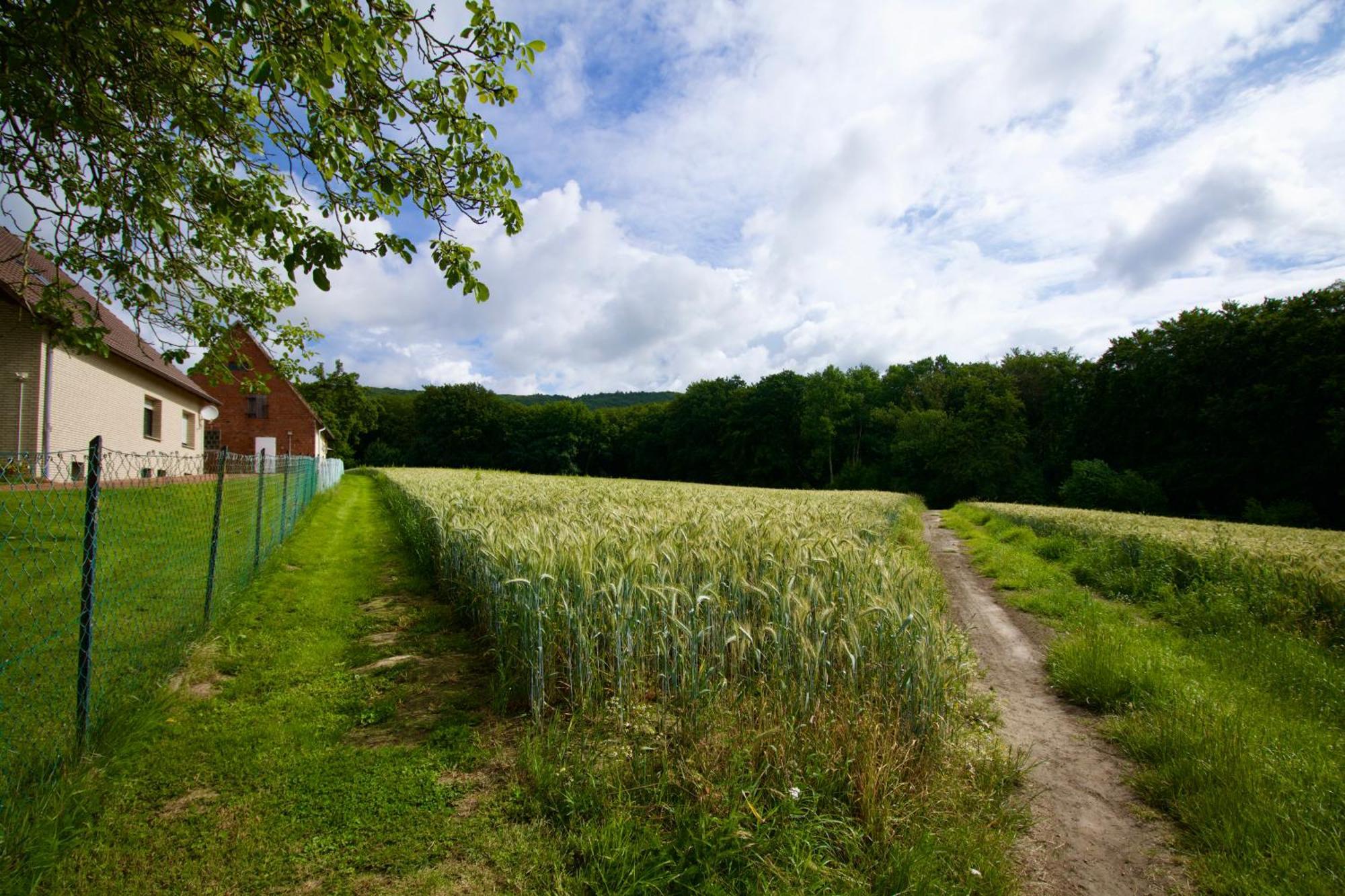 Ferienhaus Plattenberg Bad Oeynhausen Zewnętrze zdjęcie